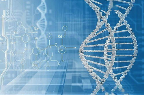 加快突破產業關鍵核心技術——江蘇省“十四五”科技創新規劃系列解讀之四 網絡科技領域的核心發展方向